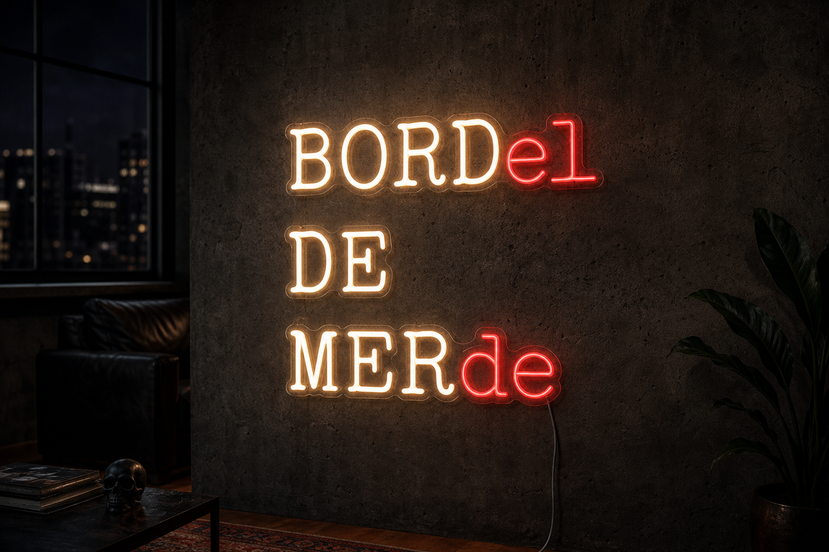 Néon LED Bordel de merde