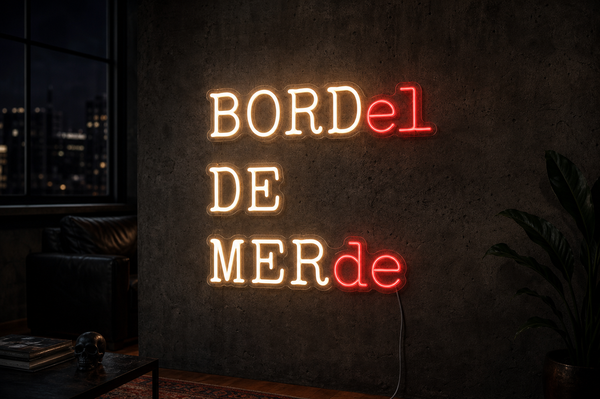 Néon LED Bordel de merde